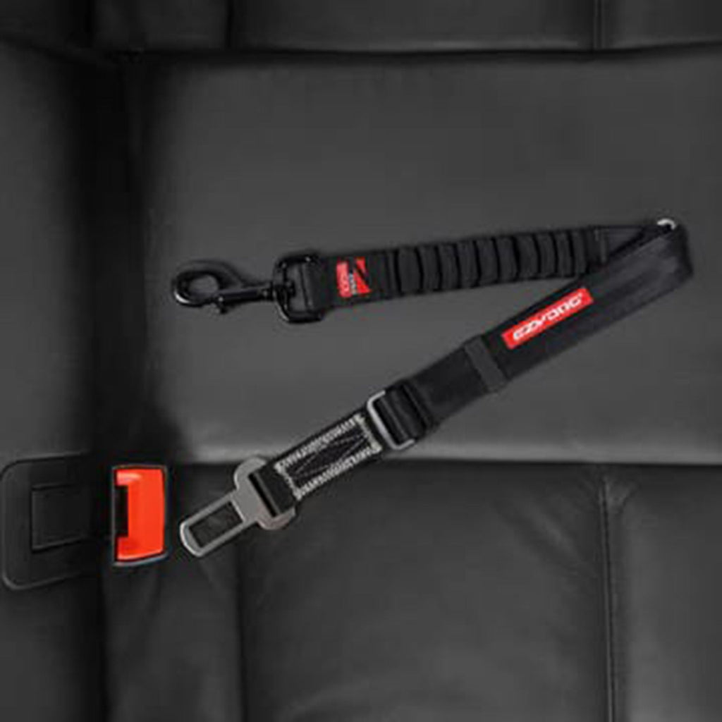 Click Dog Seat Belt Attachment with Drive Click Lead - Slickers ‚óä Doghouse