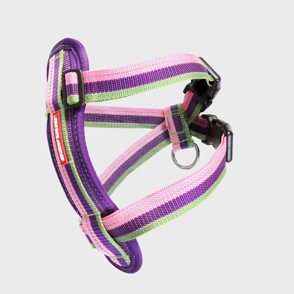 Chest Plate Dog Harness - Slickers ‚óä Doghouse