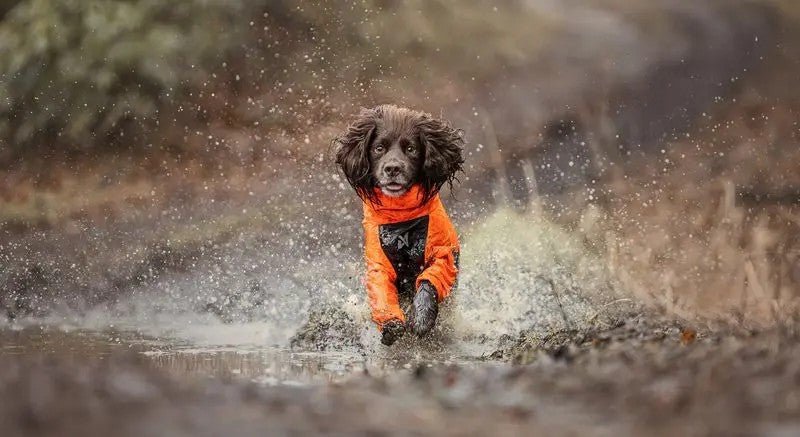 Fjord Overall Raincoat using Freemotion Technology - Slickers ◊ Doghouse
