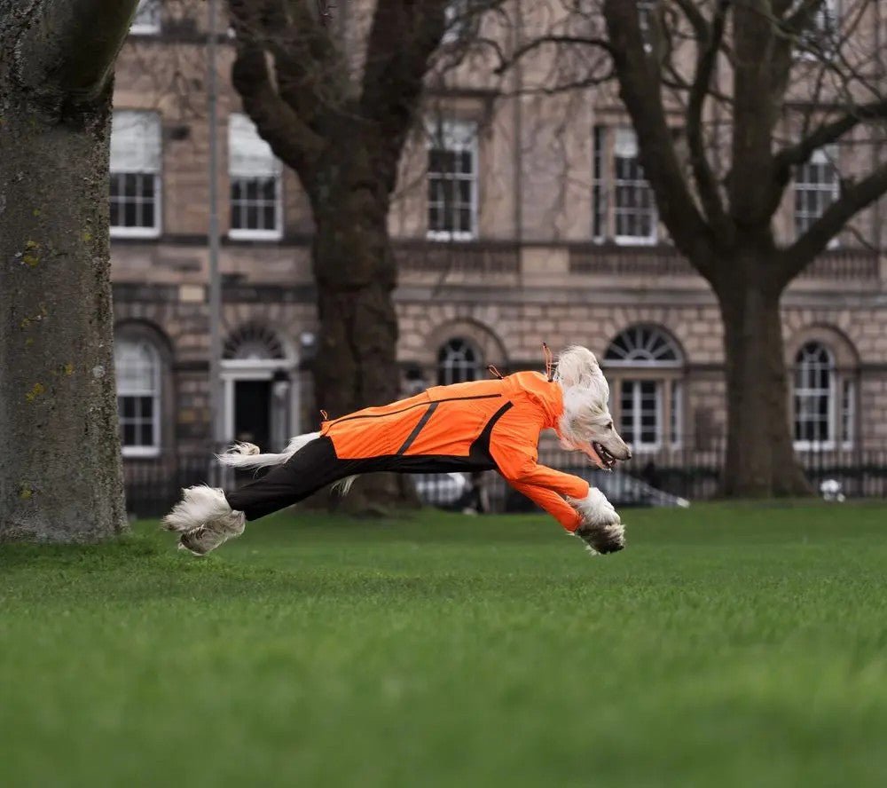 Fjord Overall Raincoat using Freemotion Technology - Slickers ◊ Doghouse