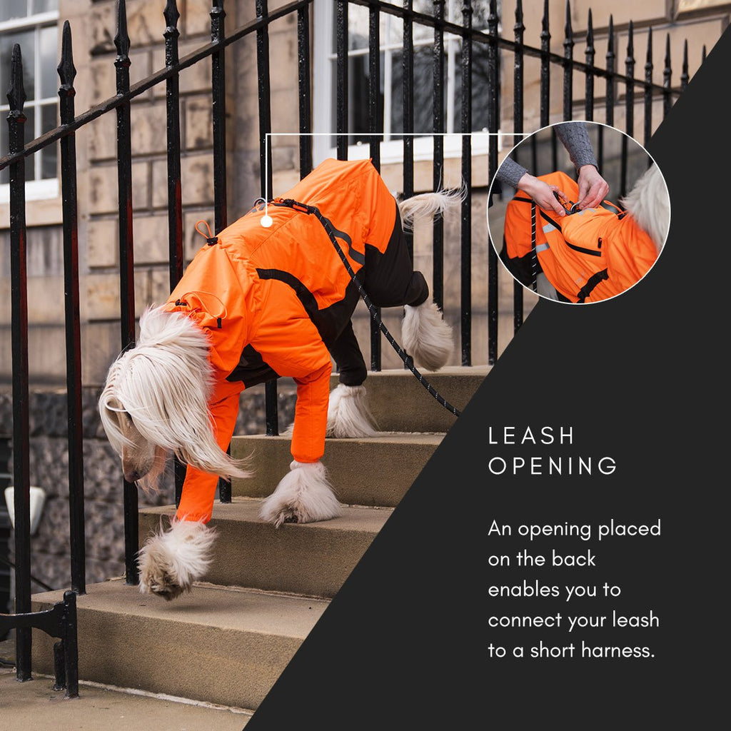 Fjord Overall Raincoat using Freemotion Technology - Slickers ◊ Doghouse