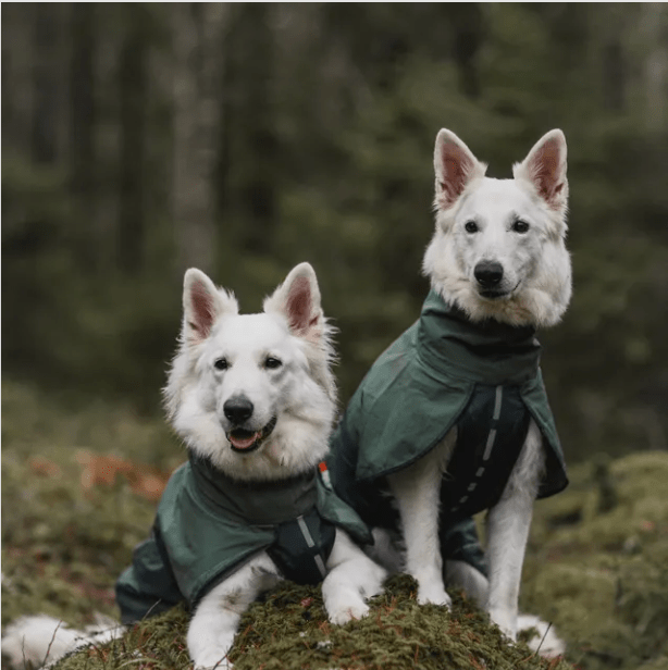 Fjord Raincoat in Five Colours - Slickers ◊ Doghouse