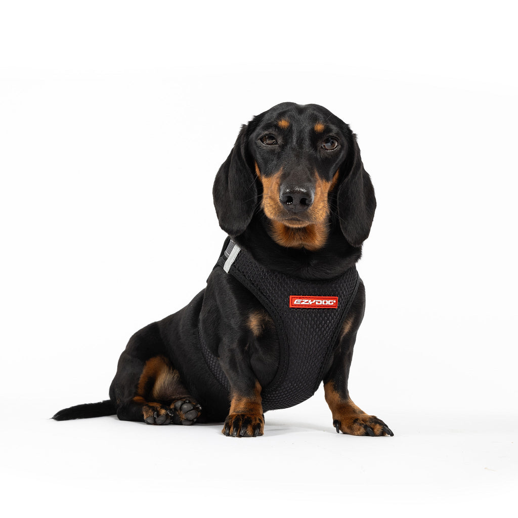 FORMFIT® Mesh Harness - Slickers ◊ Doghouse
