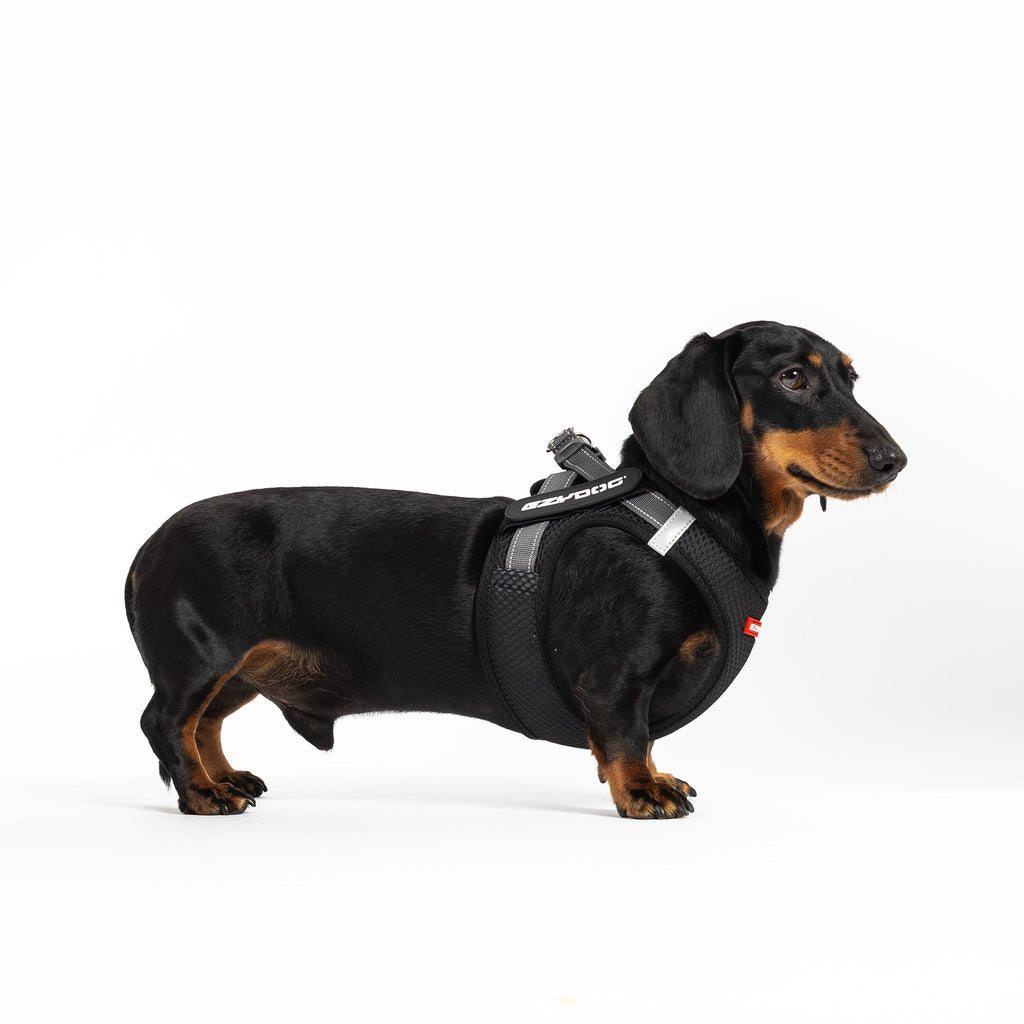 FORMFIT® Mesh Harness - Slickers ◊ Doghouse
