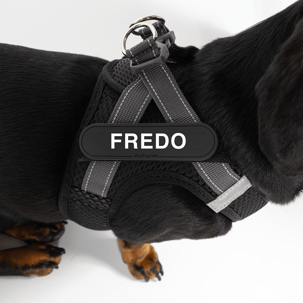 FORMFIT® Mesh Harness - Slickers ◊ Doghouse