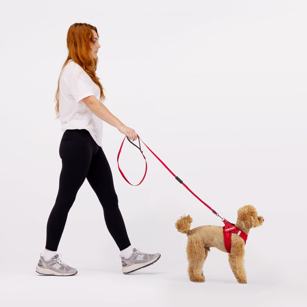 FORMFIT® Mesh Harness - Slickers ◊ Doghouse