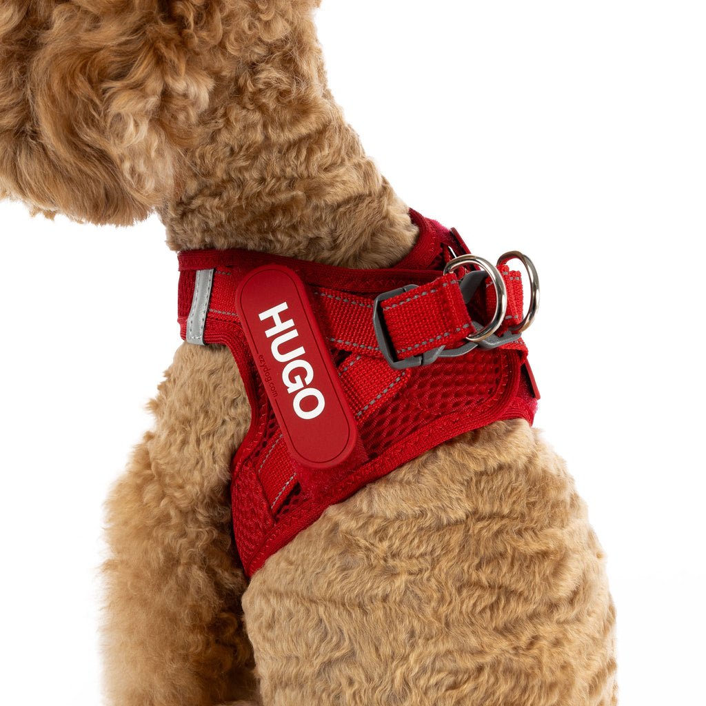 FORMFIT® Mesh Harness - Slickers ◊ Doghouse