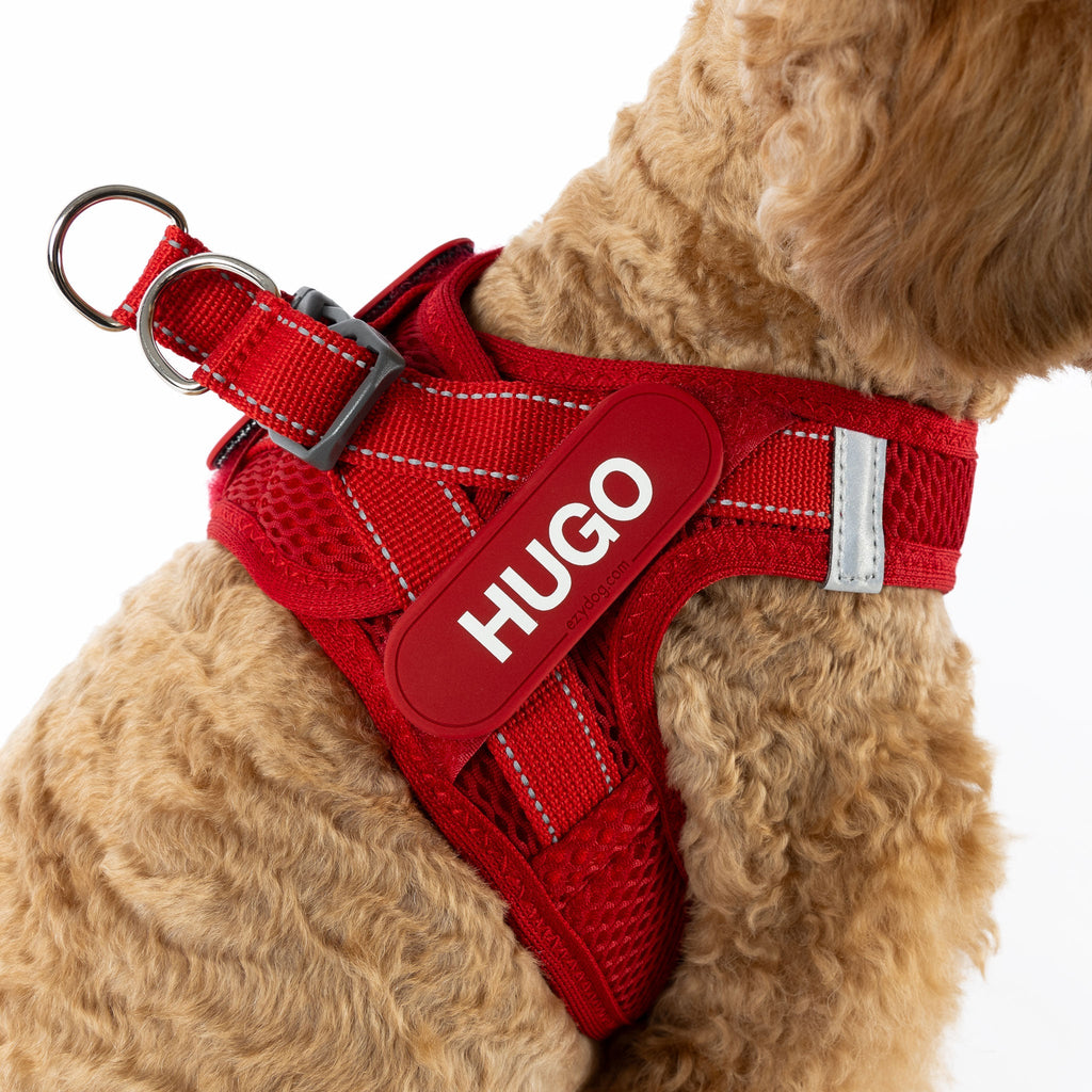 FORMFIT® Mesh Harness - Slickers ◊ Doghouse