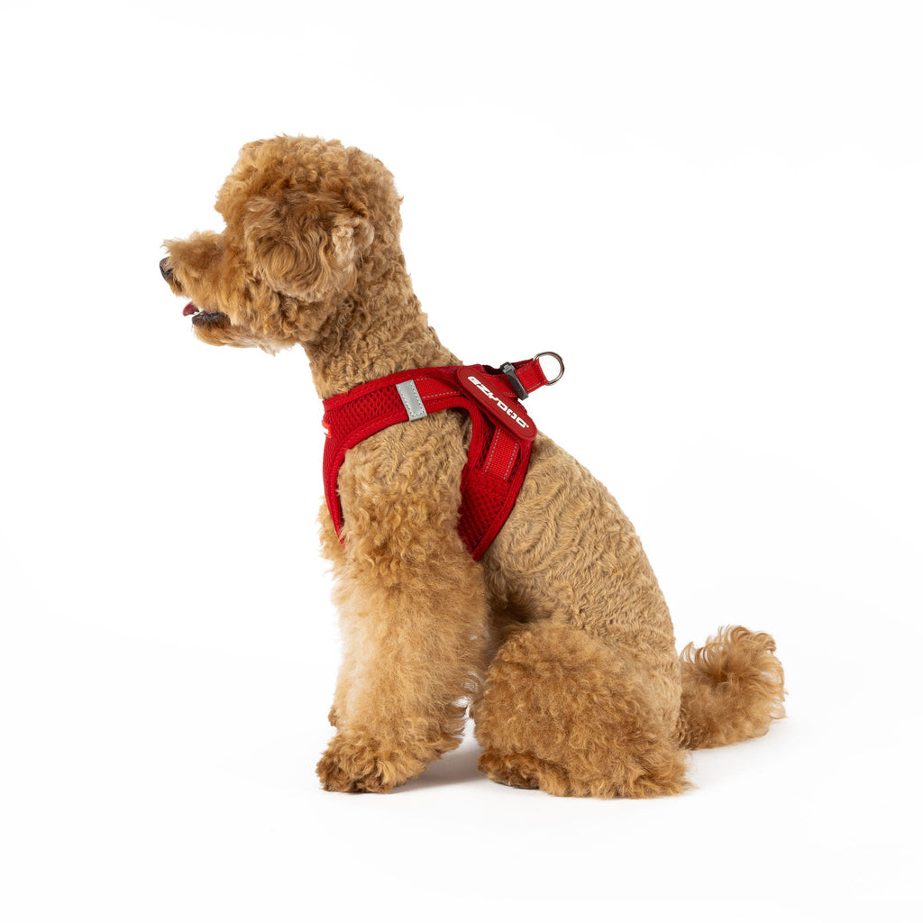 FORMFIT® Mesh Harness - Slickers ◊ Doghouse