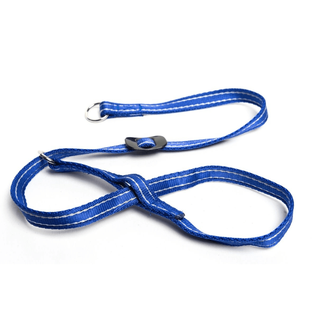 Gencon Head Collar - Slickers ◊ Doghouse
