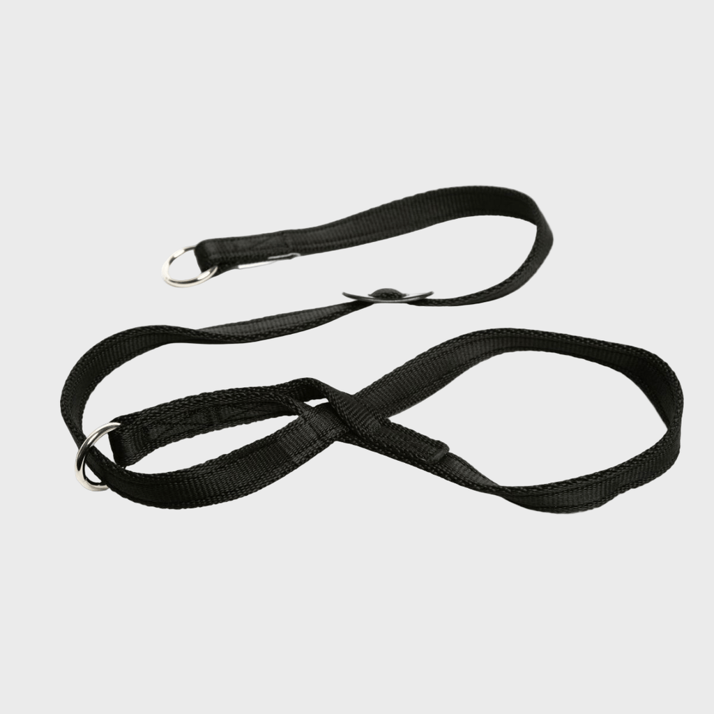 Gencon Head Collar - Slickers ◊ Doghouse