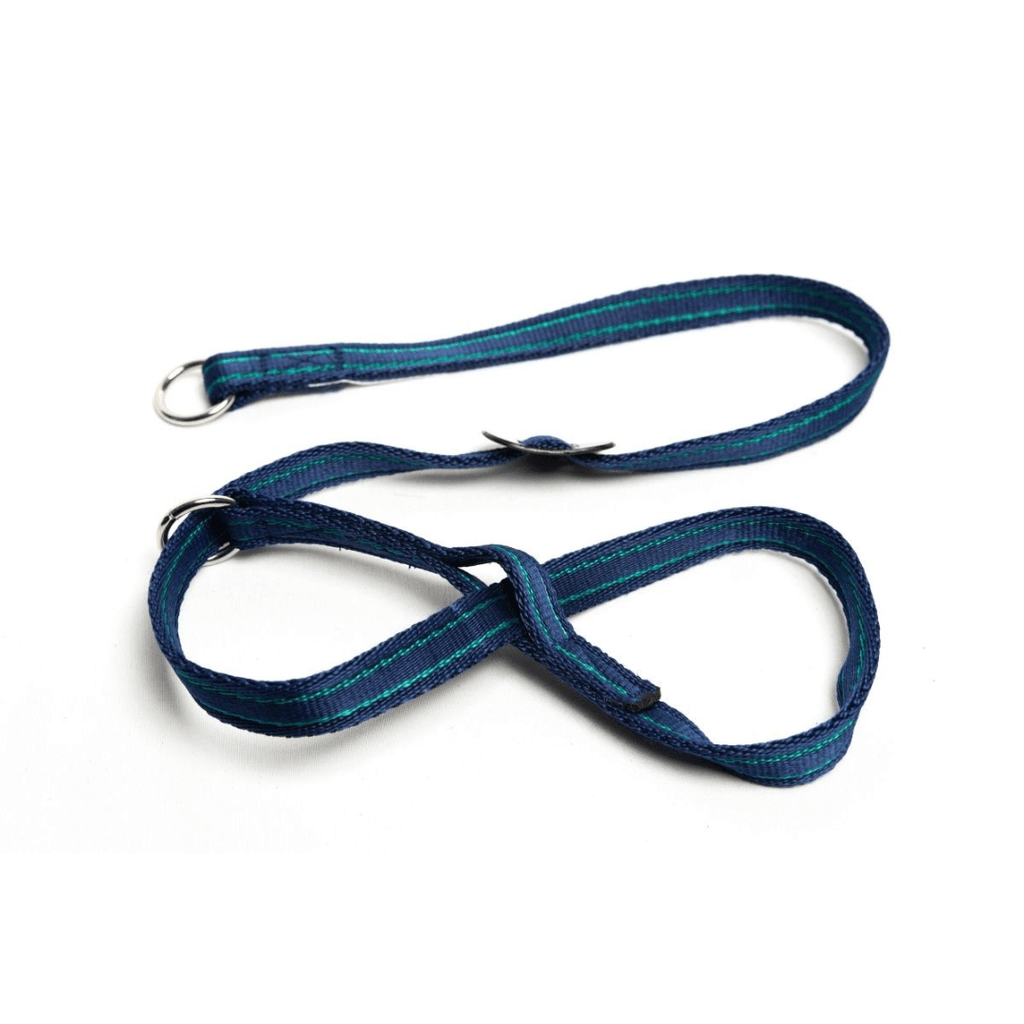 Gencon Head Collar - Slickers ◊ Doghouse