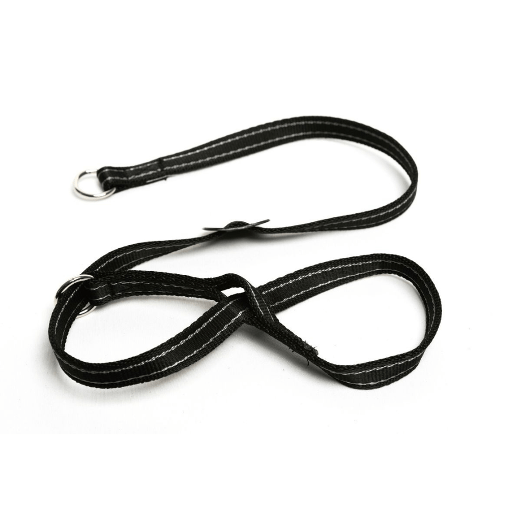 Gencon Head Collar - Slickers ◊ Doghouse
