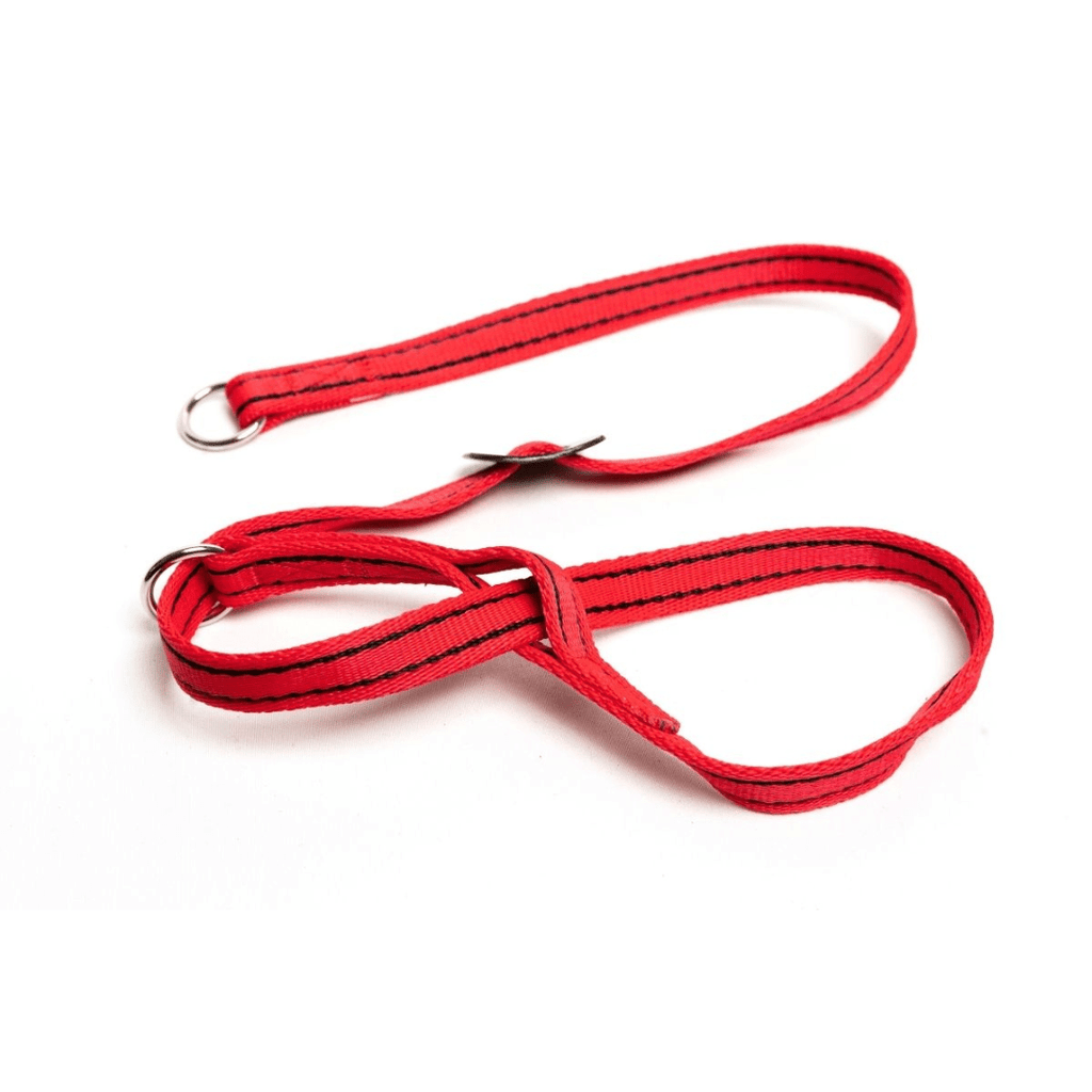 Gencon Head Collar - Slickers ◊ Doghouse