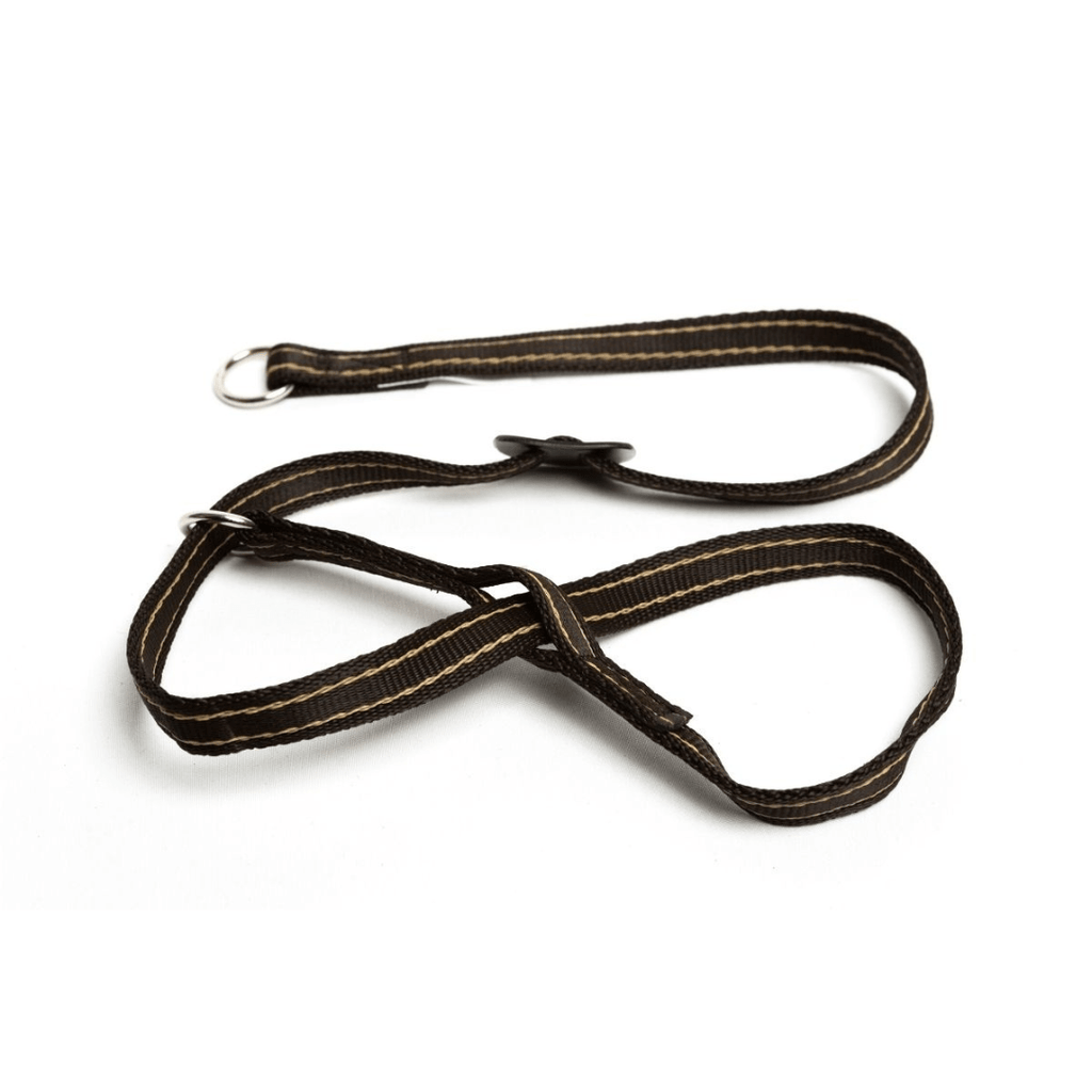 Gencon Head Collar - Slickers ◊ Doghouse