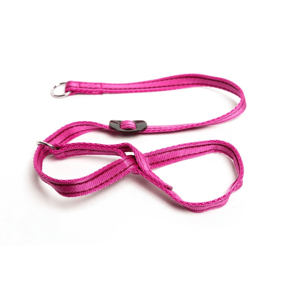 Gencon Head Collar - Slickers ◊ Doghouse