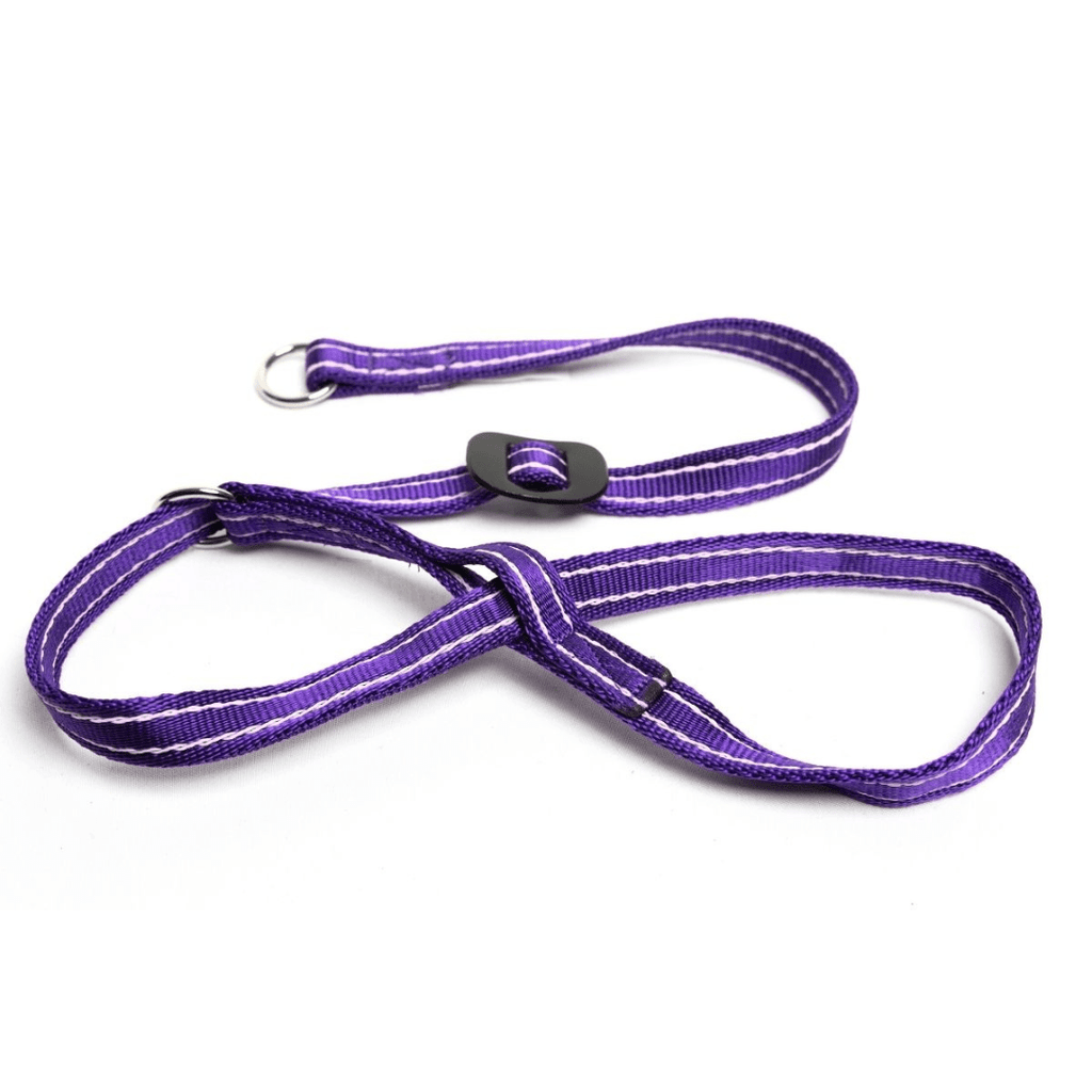 Gencon Head Collar - Slickers ◊ Doghouse