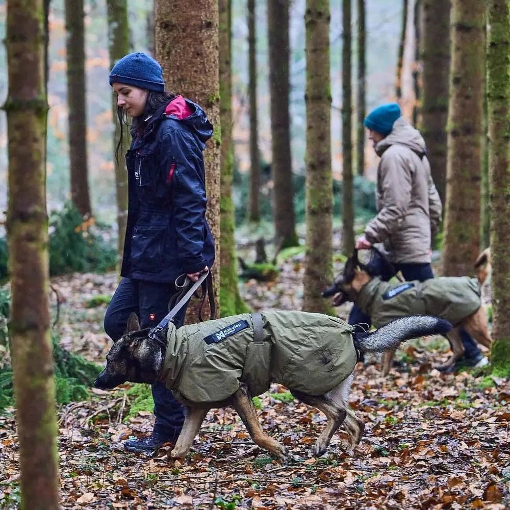 Glacier Dog Jacket WD (Working Dog) - Slickers ◊ Doghouse