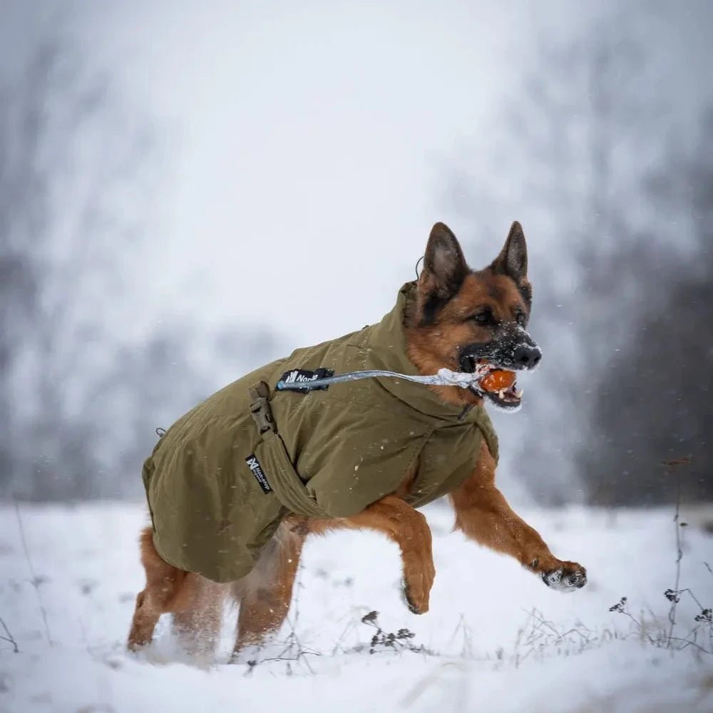 Glacier Dog Jacket WD (Working Dog) - Slickers ◊ Doghouse