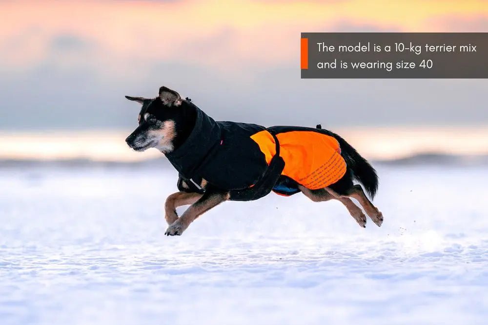 Glacier Jacket 2.0, Three Colours - Slickers ◊ Doghouse