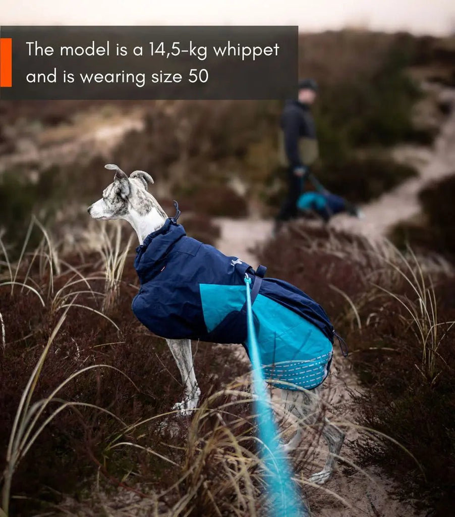 Glacier Jacket 2.0, Three Colours - Slickers ◊ Doghouse