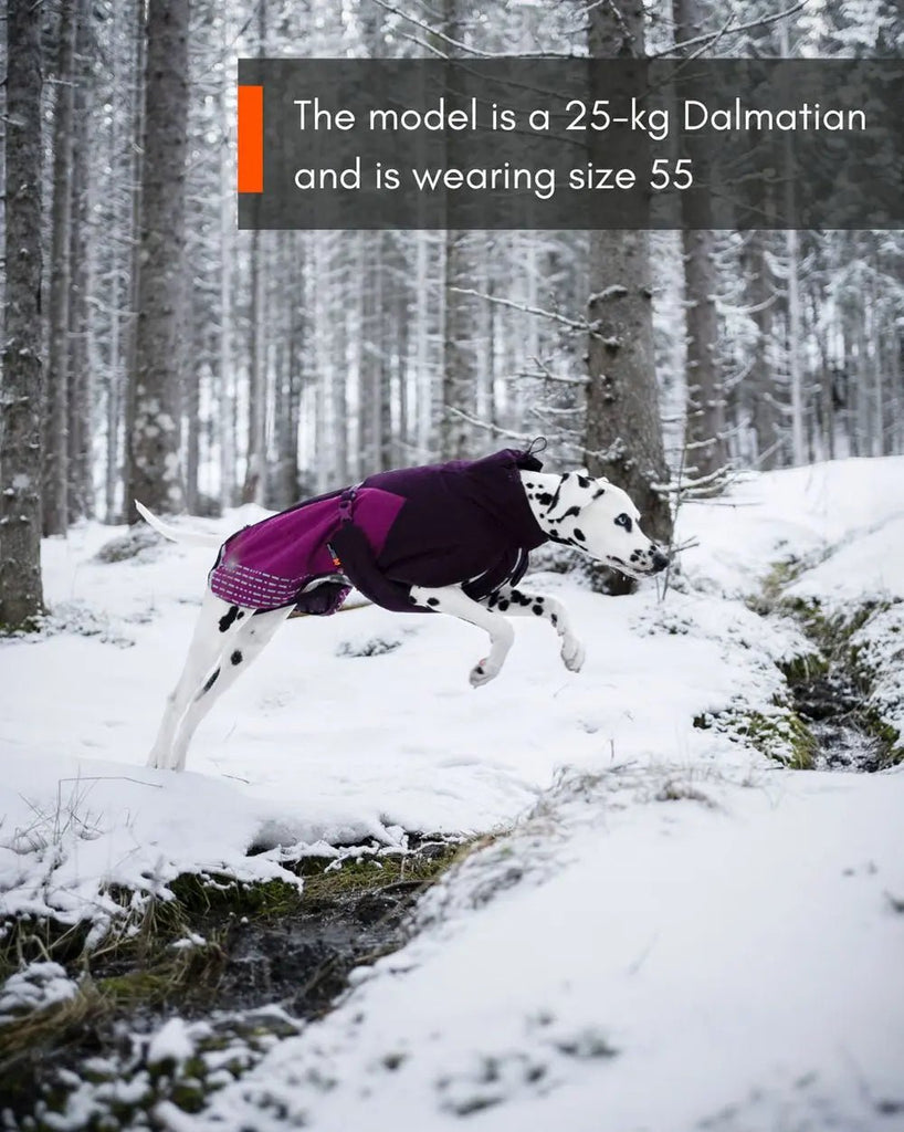 Glacier Jacket 2.0, Three Colours - Slickers ◊ Doghouse
