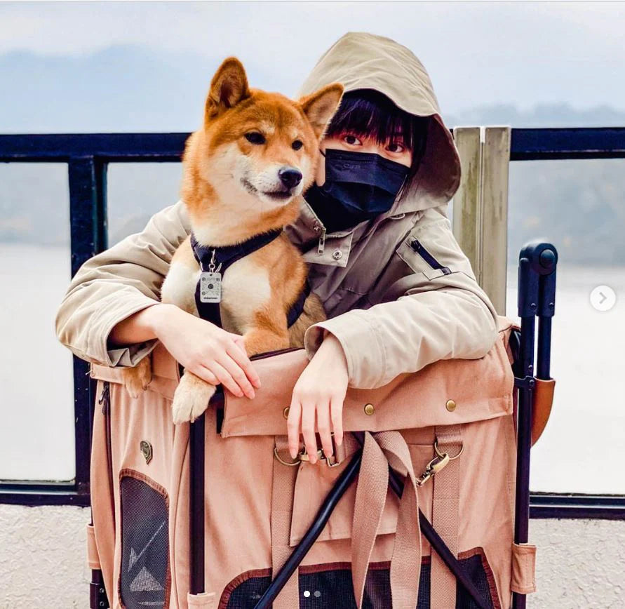 Ibiyaya STROLLER Gentle Giant Pet Wagon Dirty Peach
