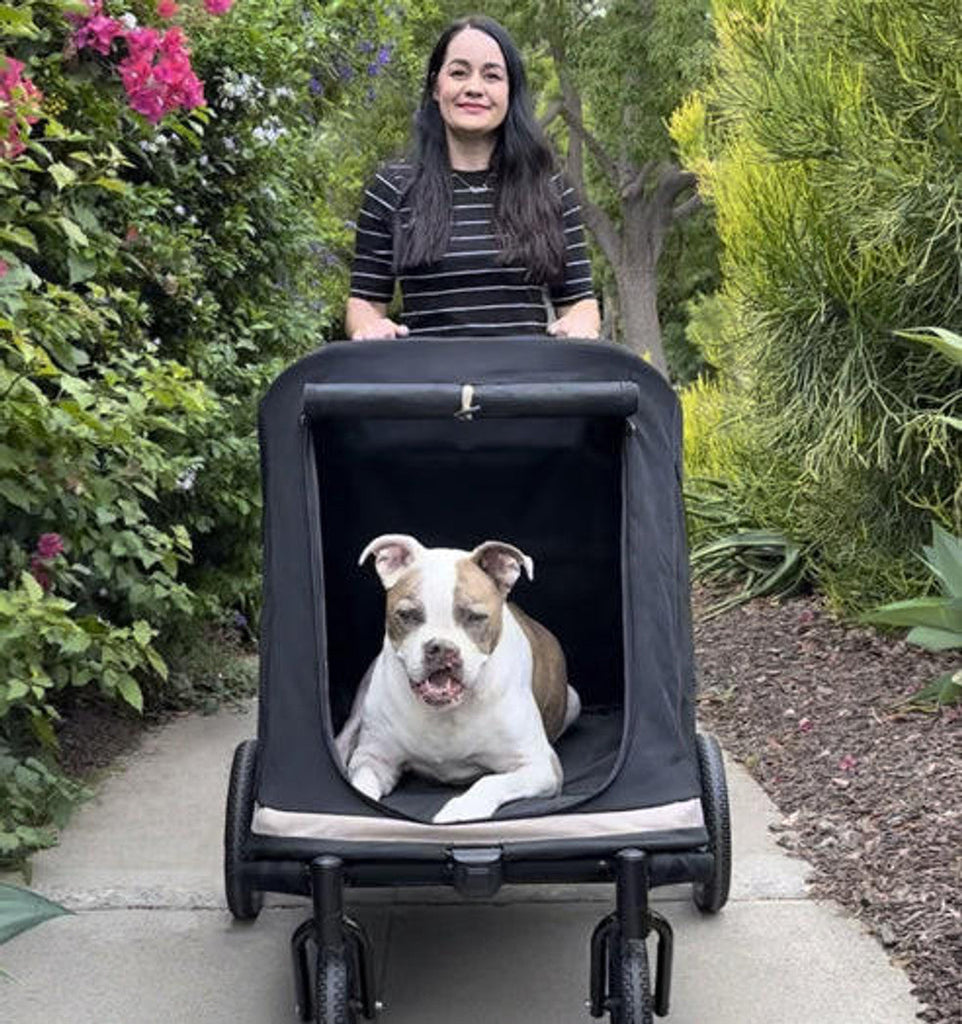 Ibiyaya STROLLER Ibiyaya Grand Cruiser XLarge Dog Stroller | >50kgs
