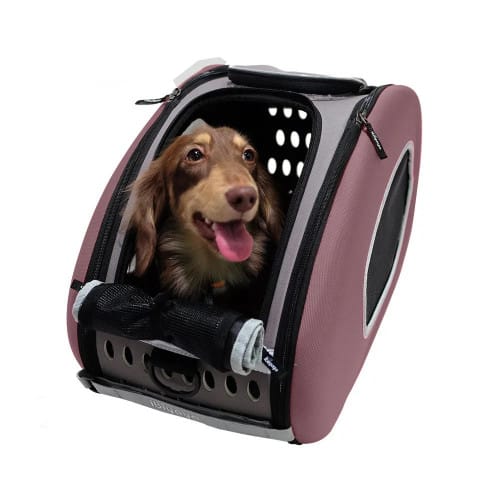 Ibiyaya STROLLER Pet EVA 5 in 1 stroller Brown