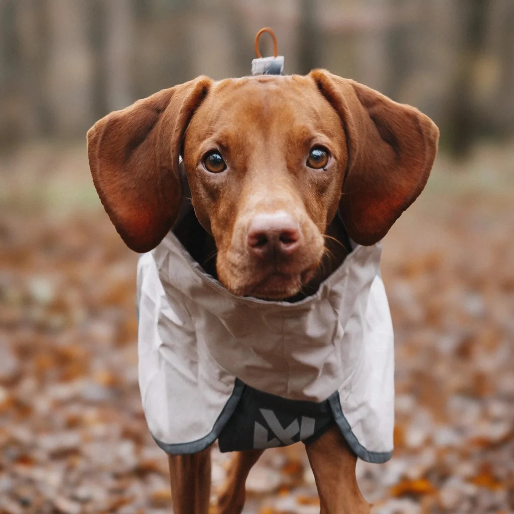 Fjord raincoat 2.0 - Slickers ◊ Doghouse