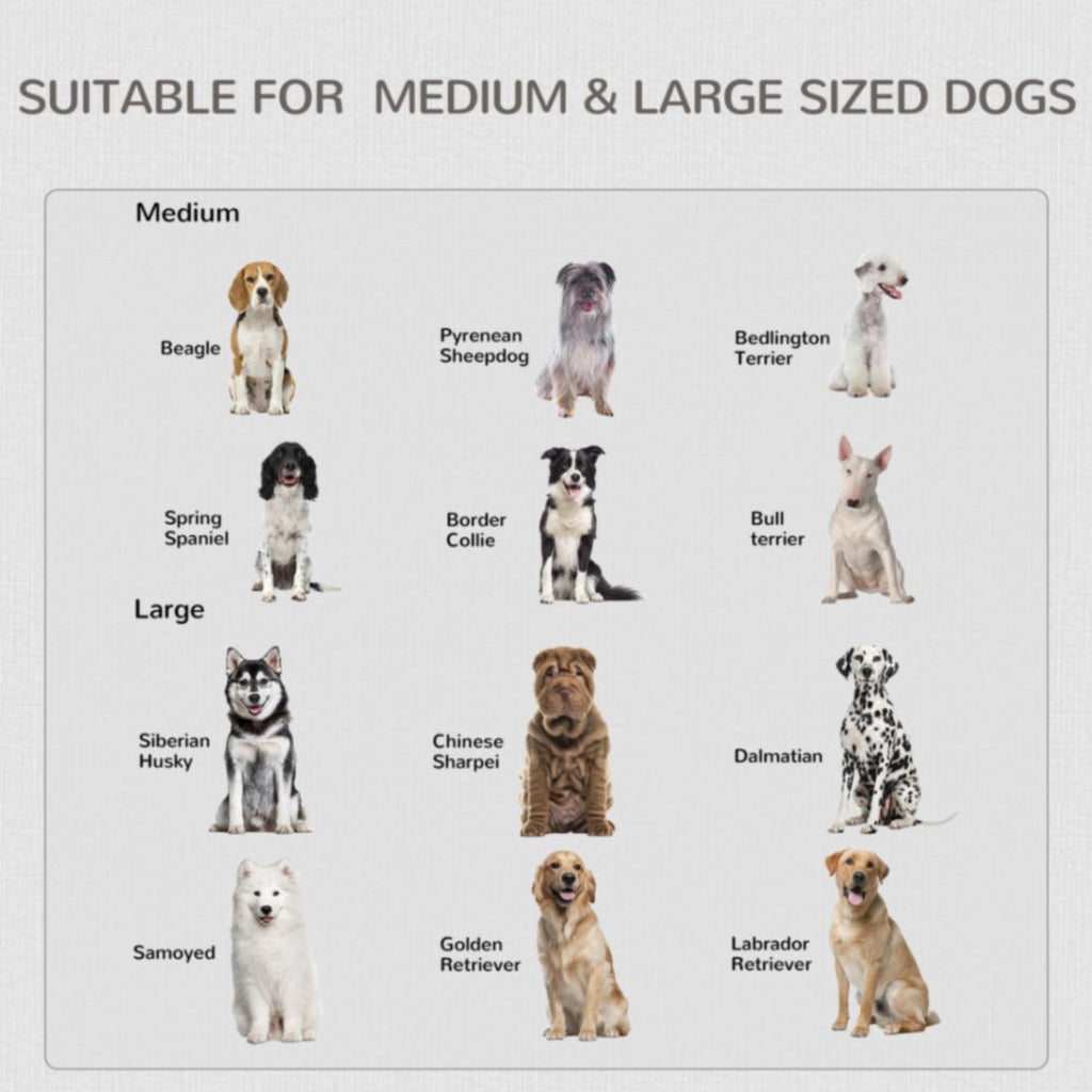 Furniture Style Dog Crate with Two Doors & End Table with Locks, Medium and Large Dogs - Slickers ◊ Doghouse