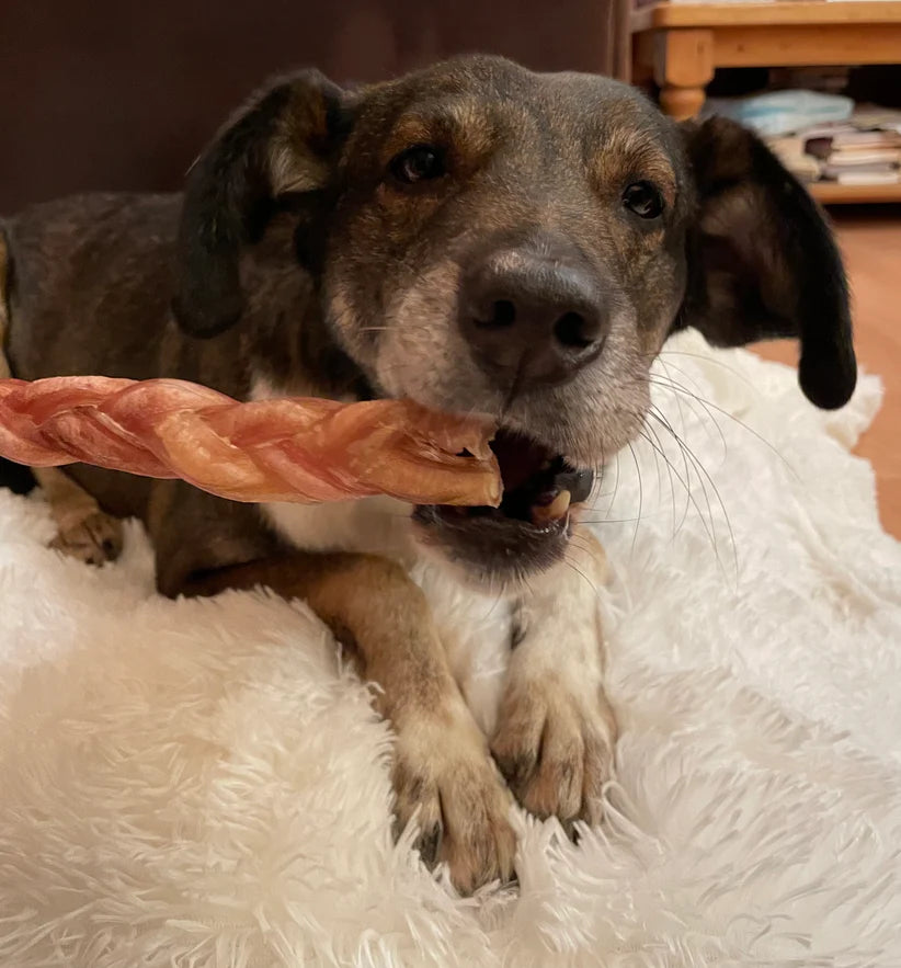 Odourless Braided Pizzle 15cm - Slickers ‚óä Doghouse