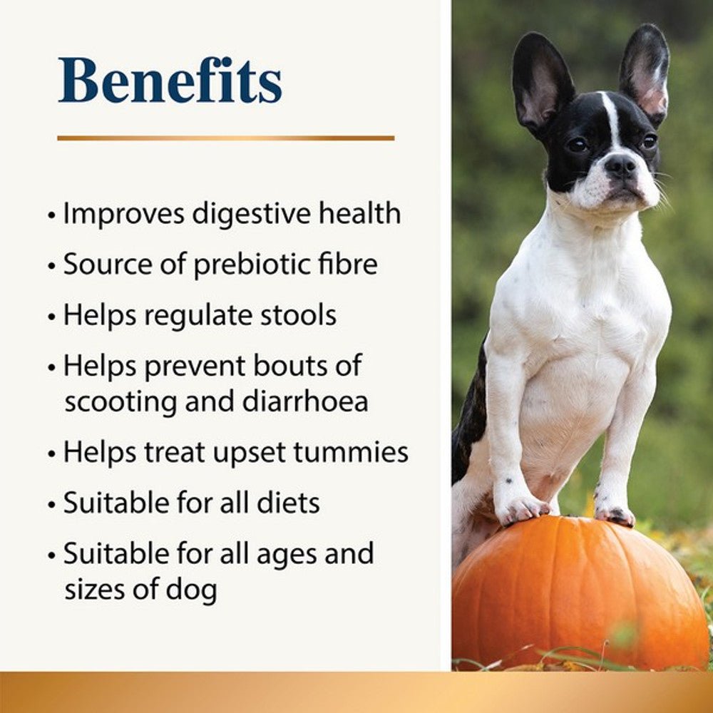 Karnlea Pumpkin Powder for Dogs - Slickers ◊ Doghouse