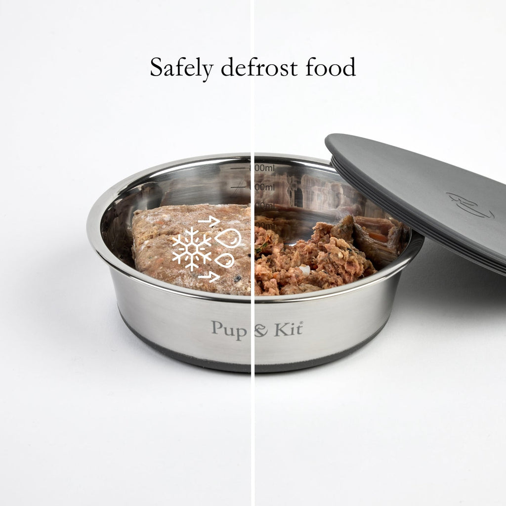 Lid - it Pet Bowl with Stay - Fresh Lid - Slickers ◊ Doghouse
