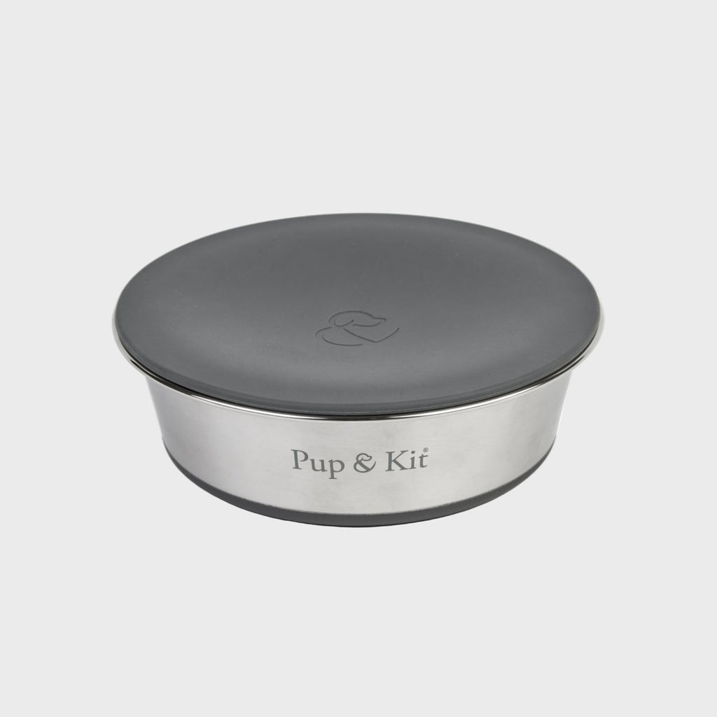 Lid - it Pet Bowl with Stay - Fresh Lid - Slickers ◊ Doghouse