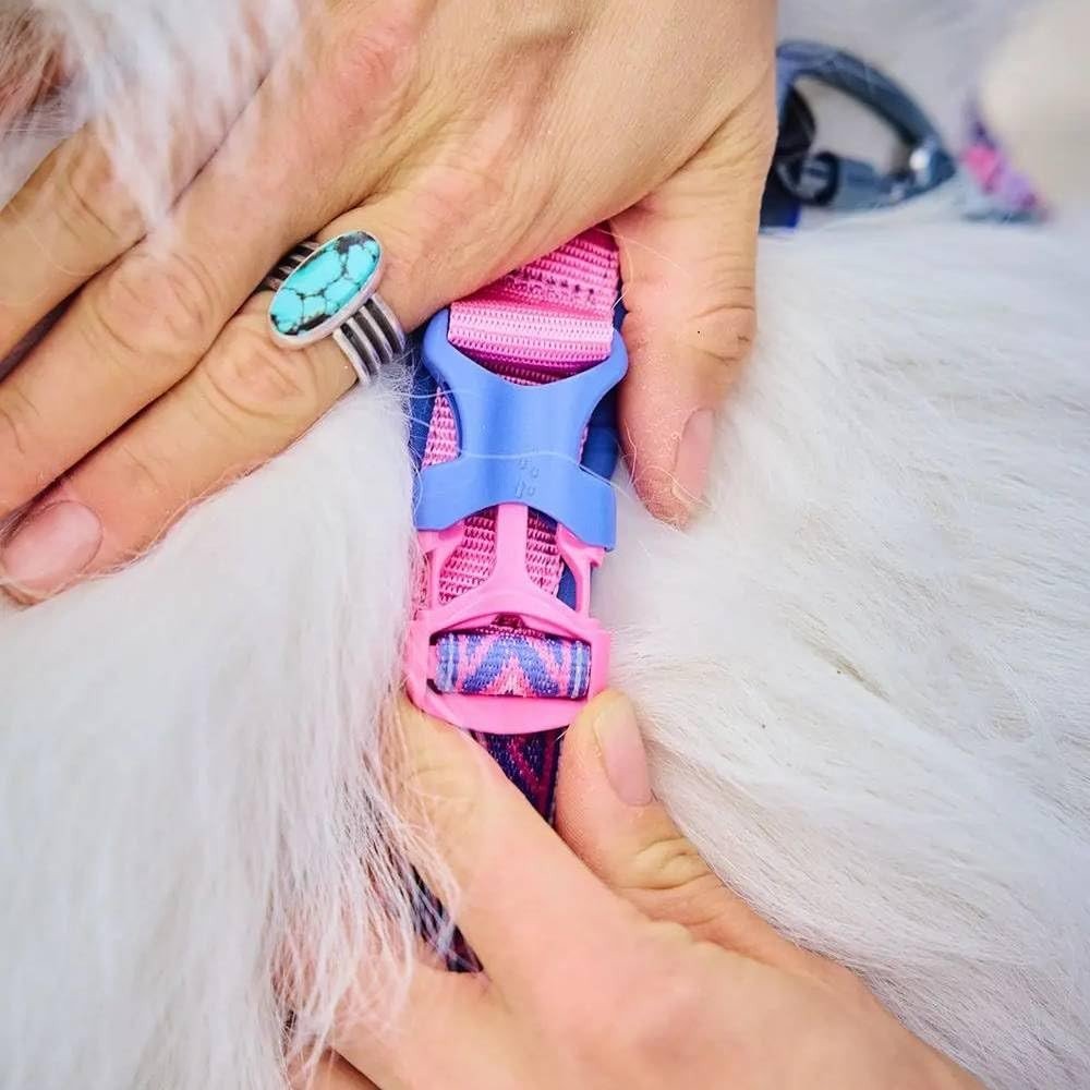 Line Harness 5.0 Rachel Pohl Edition - Slickers ◊ Doghouse