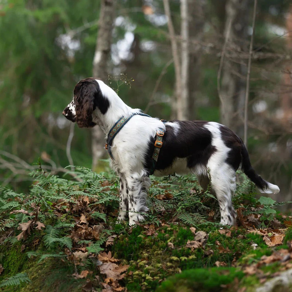 Line Harness 5.0 Rachel Pohl Edition - Slickers ◊ Doghouse