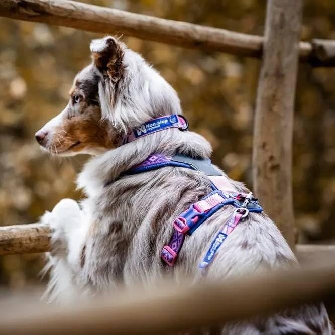 Line Harness 5.0 Rachel Pohl Edition - Slickers ◊ Doghouse