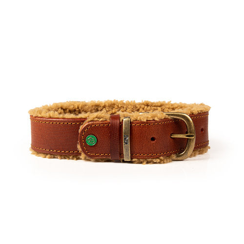 Lords and Labradors Collar Leather Teddy Collar Brown - Dog with a Mission
