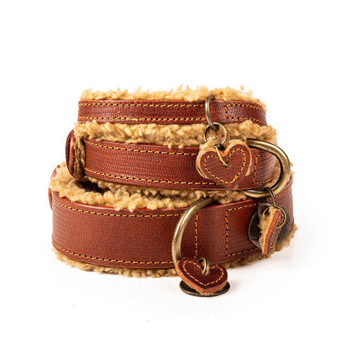 Lords and Labradors Collar S Leather Teddy Collar Brown - Dog with a Mission