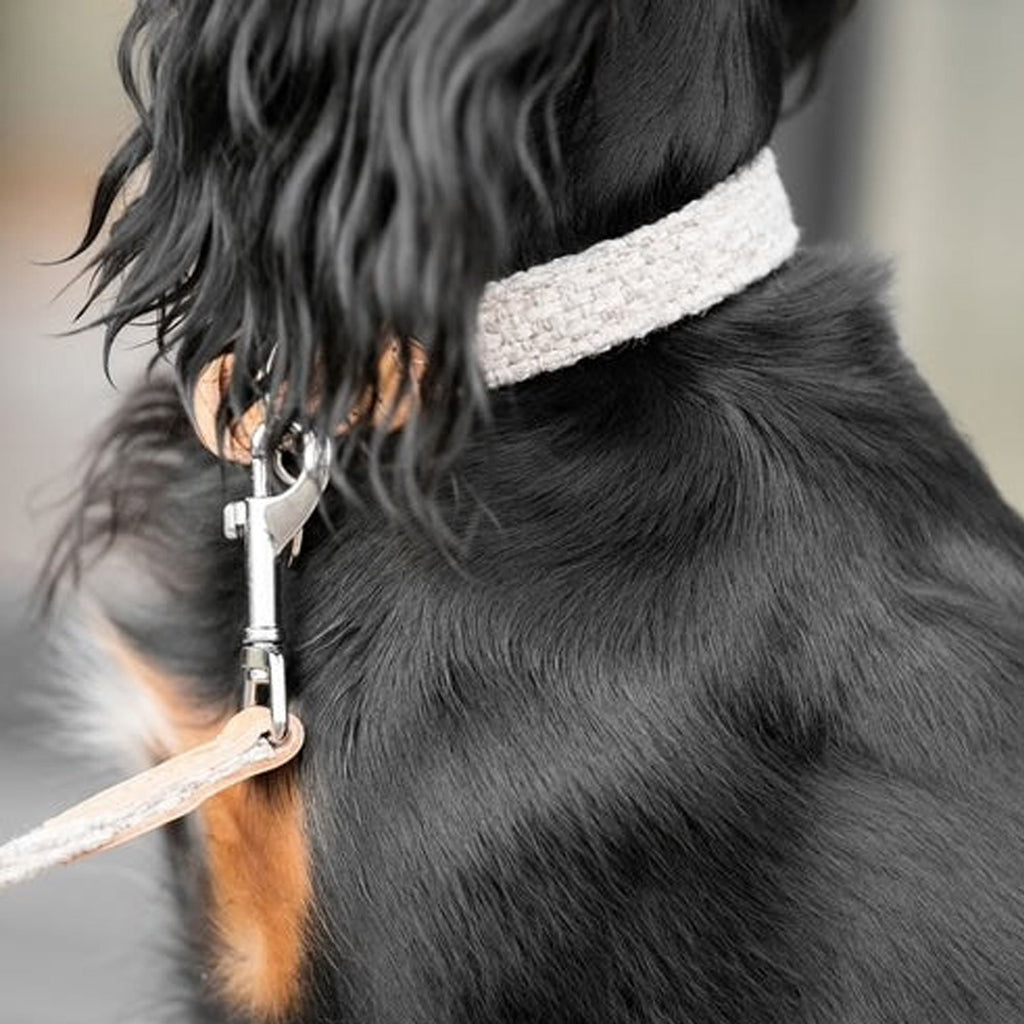 Herdwick Collar - Slickers ‚óä Doghouse