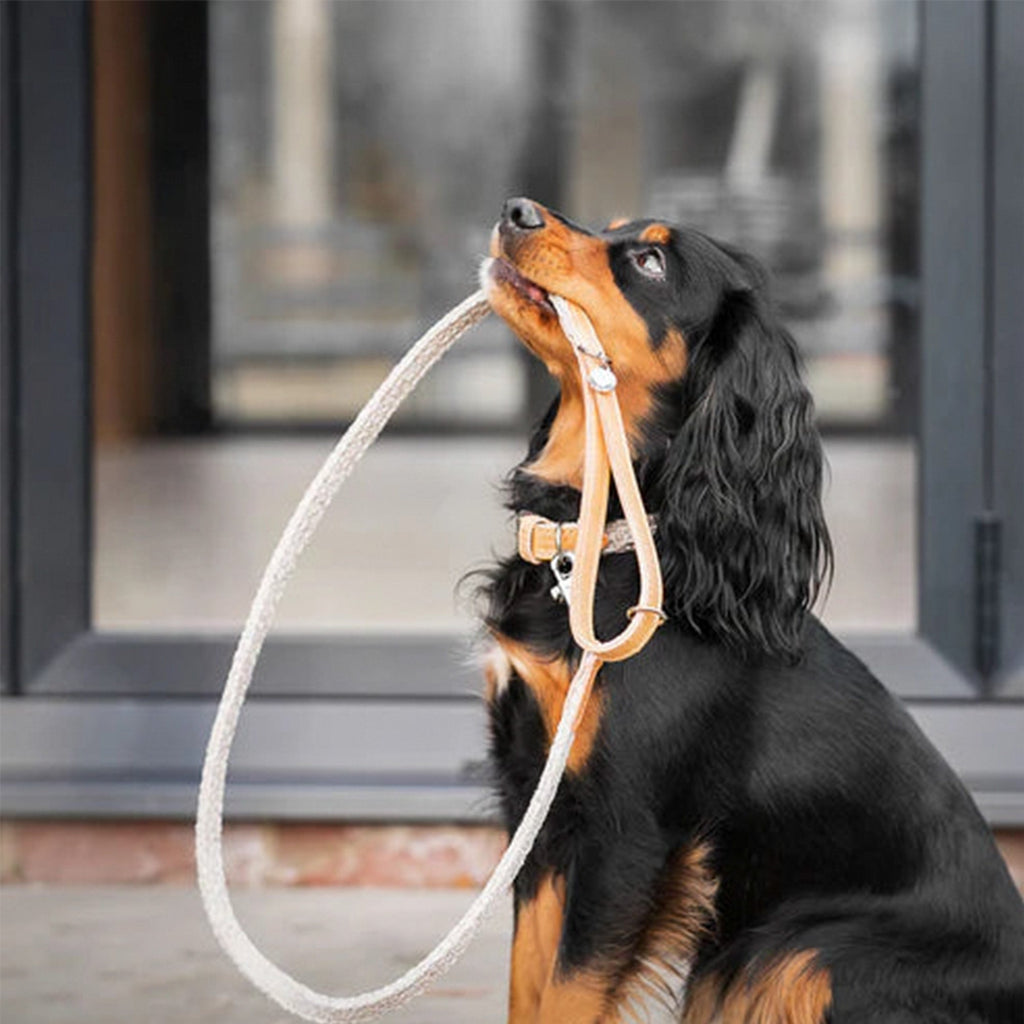 Herdwick Lead - Slickers ‚óä Doghouse