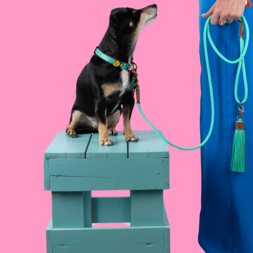 Lords and Labradors Dog Lead Jade turquoise dog leash
