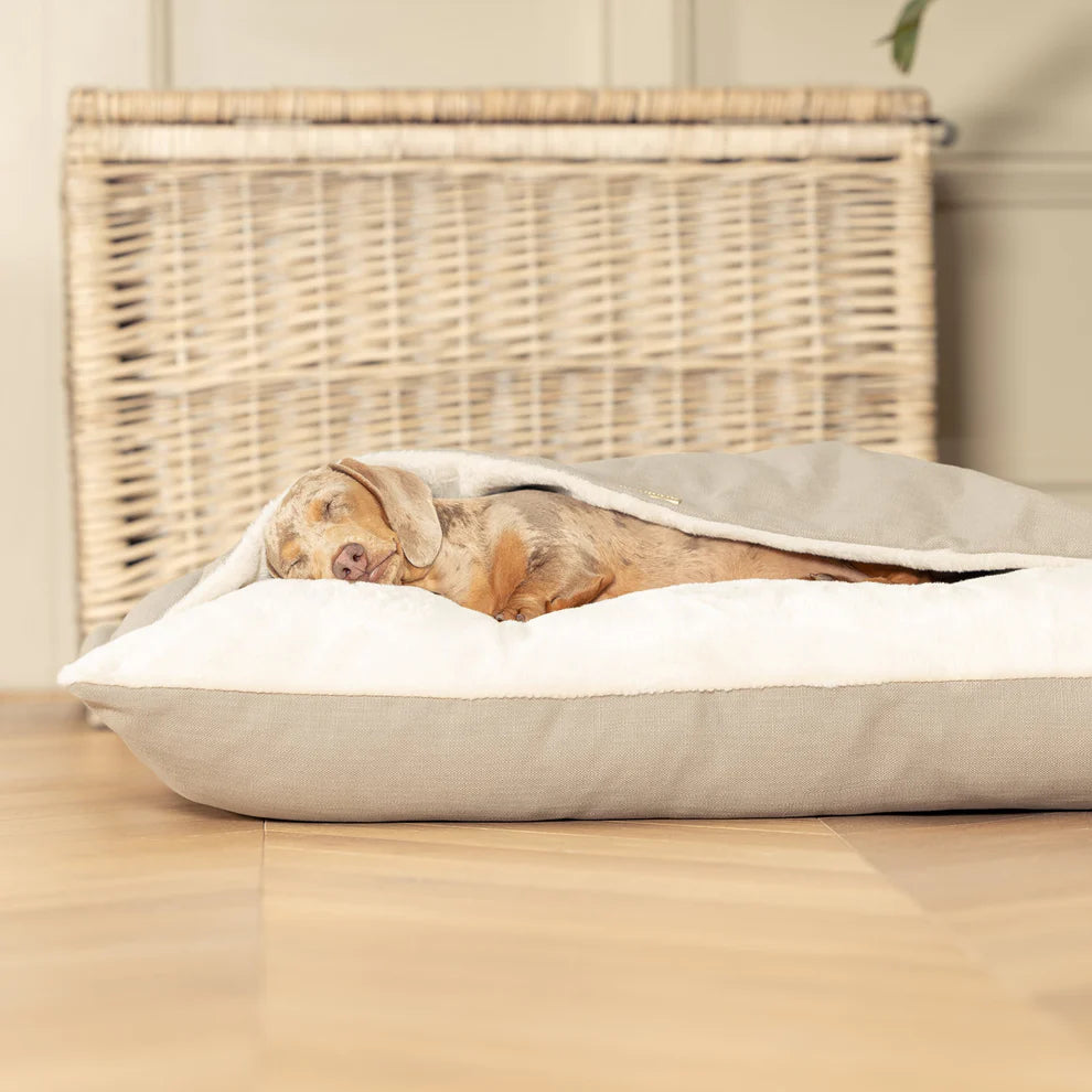 Sleepy Burrows Savanna Collection - Slickers ‚óä Doghouse