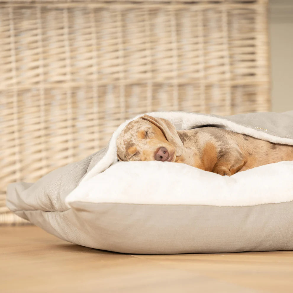 Sleepy Burrows Savanna Collection - Slickers ‚óä Doghouse