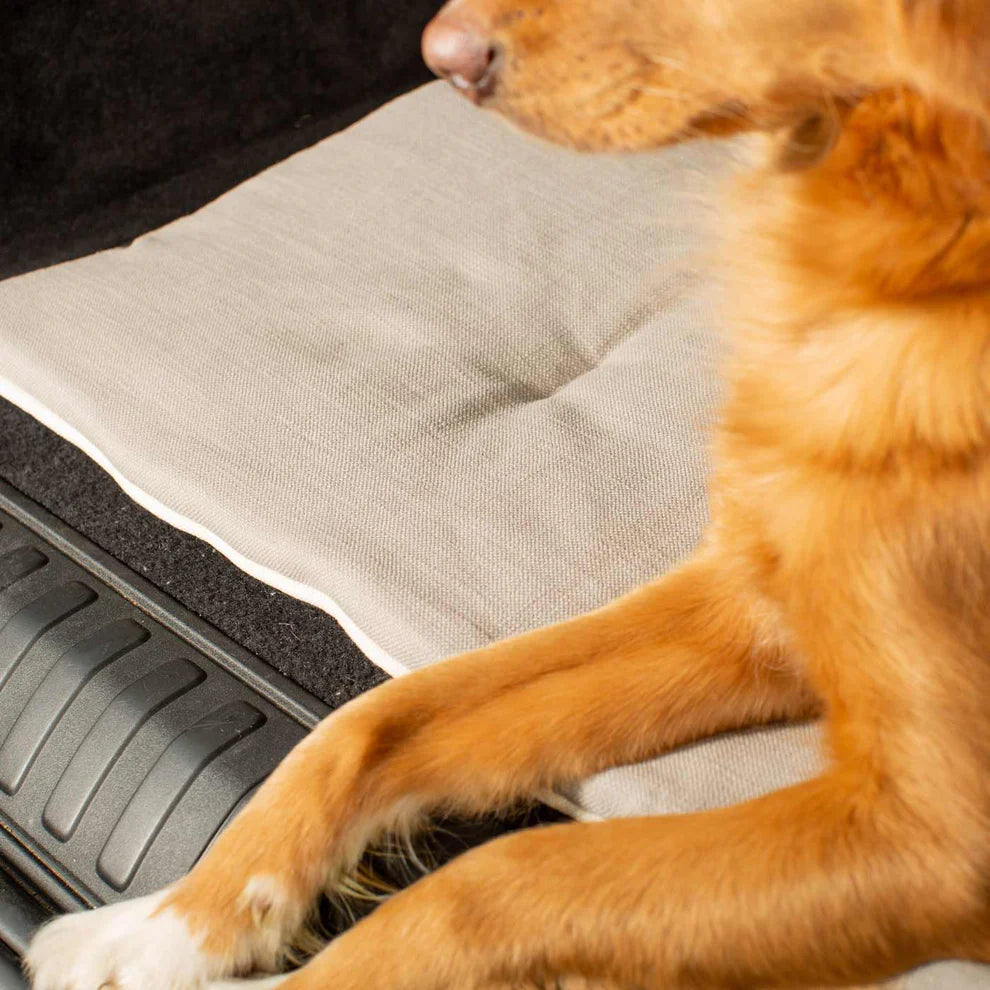 Savanna Travel Mat - Slickers ‚óä Doghouse