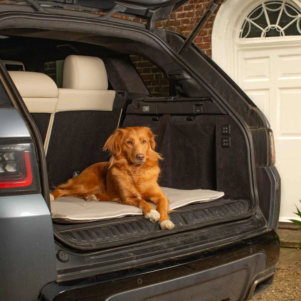 Savanna Travel Mat - Slickers ‚óä Doghouse