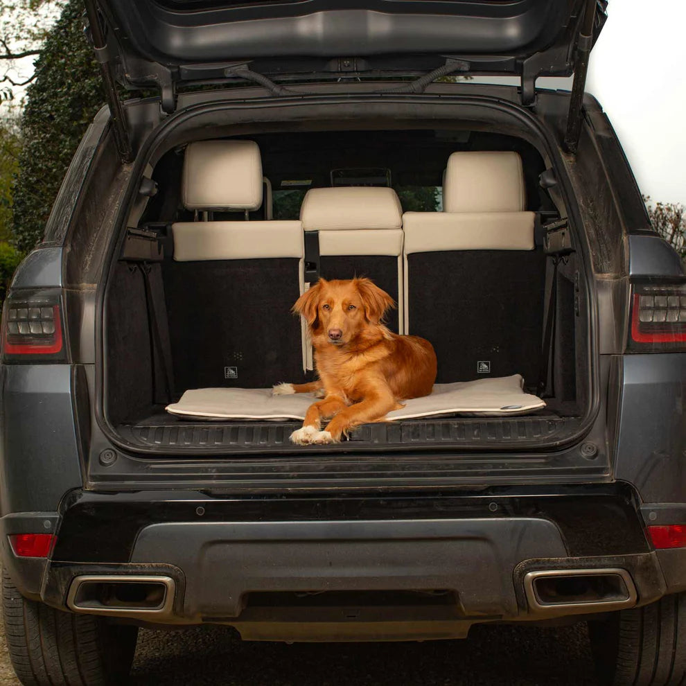 Savanna Travel Mat - Slickers ‚óä Doghouse