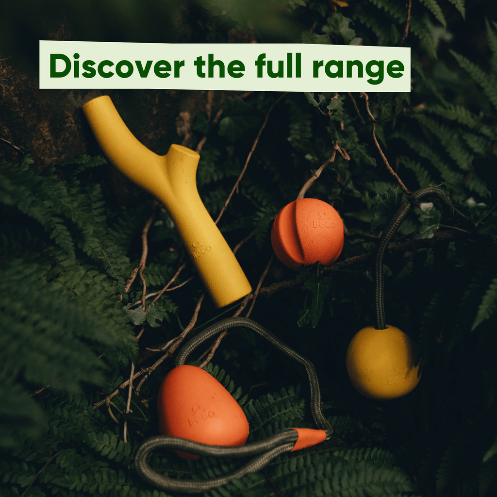 Natural Rubber Fetch Ball - Slickers ◊ Doghouse