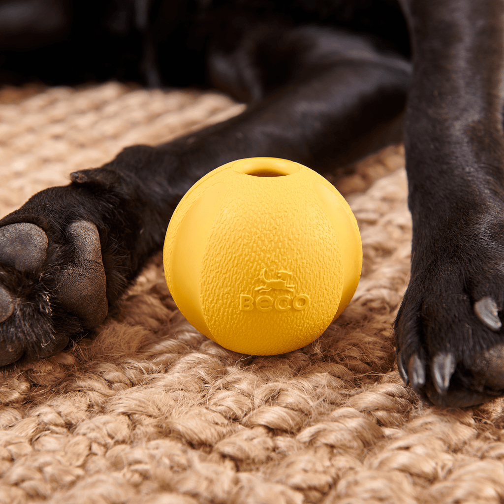 Natural Rubber Fetch Ball - Slickers ◊ Doghouse